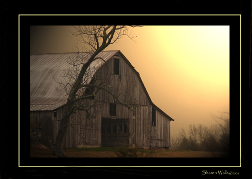 Bradford Barn