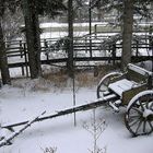 Bragg Creek Alberta