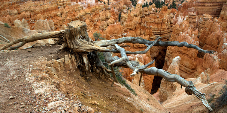 Braice canyon