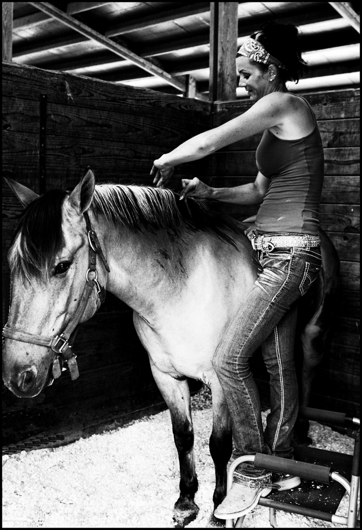 braiding the Horses Mane