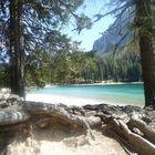 Braies