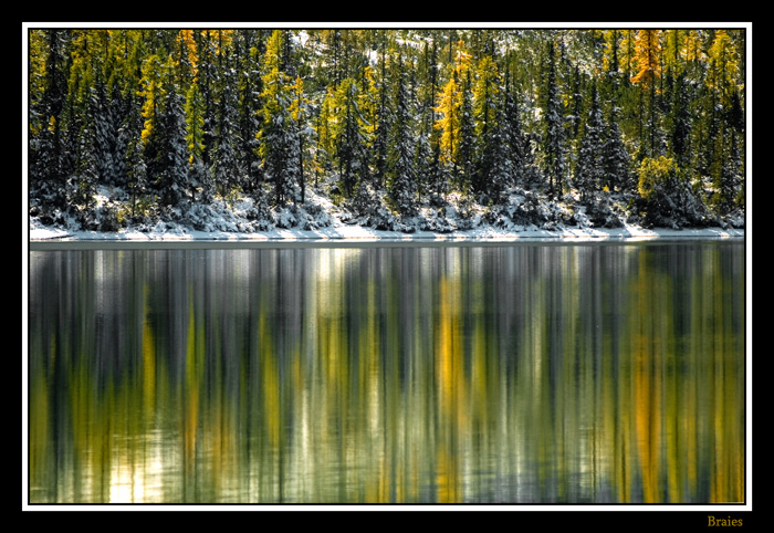 Braies