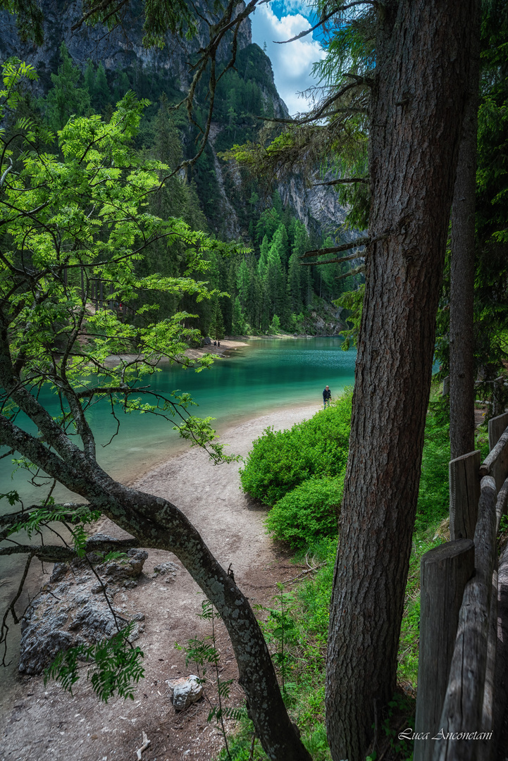 Braies