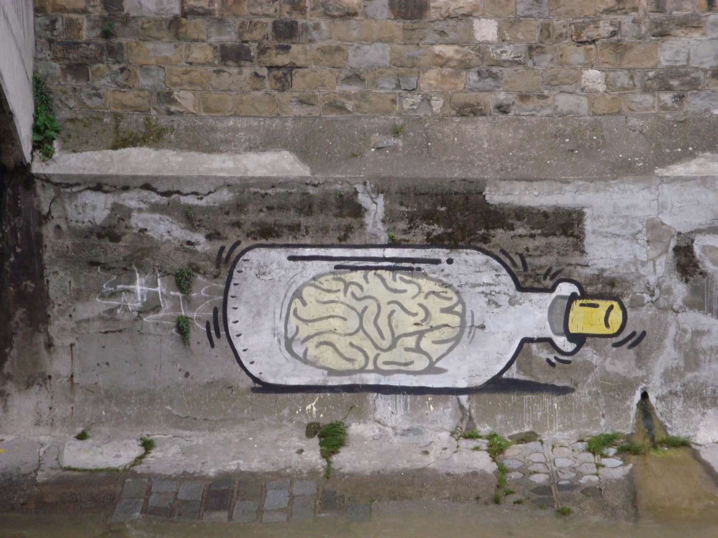 brain in a bottle