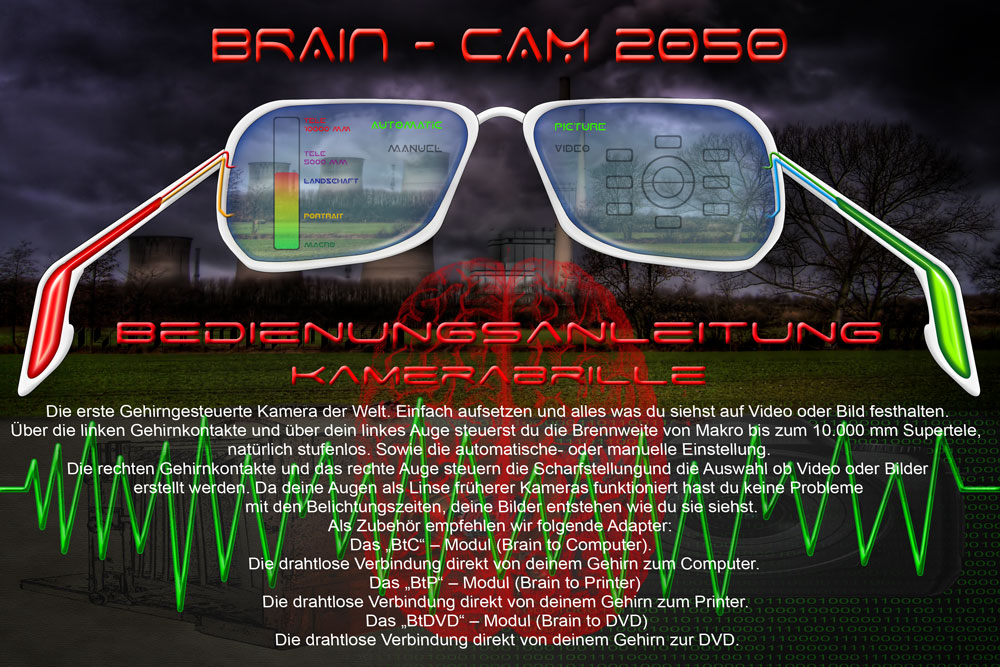BrainCam 2010