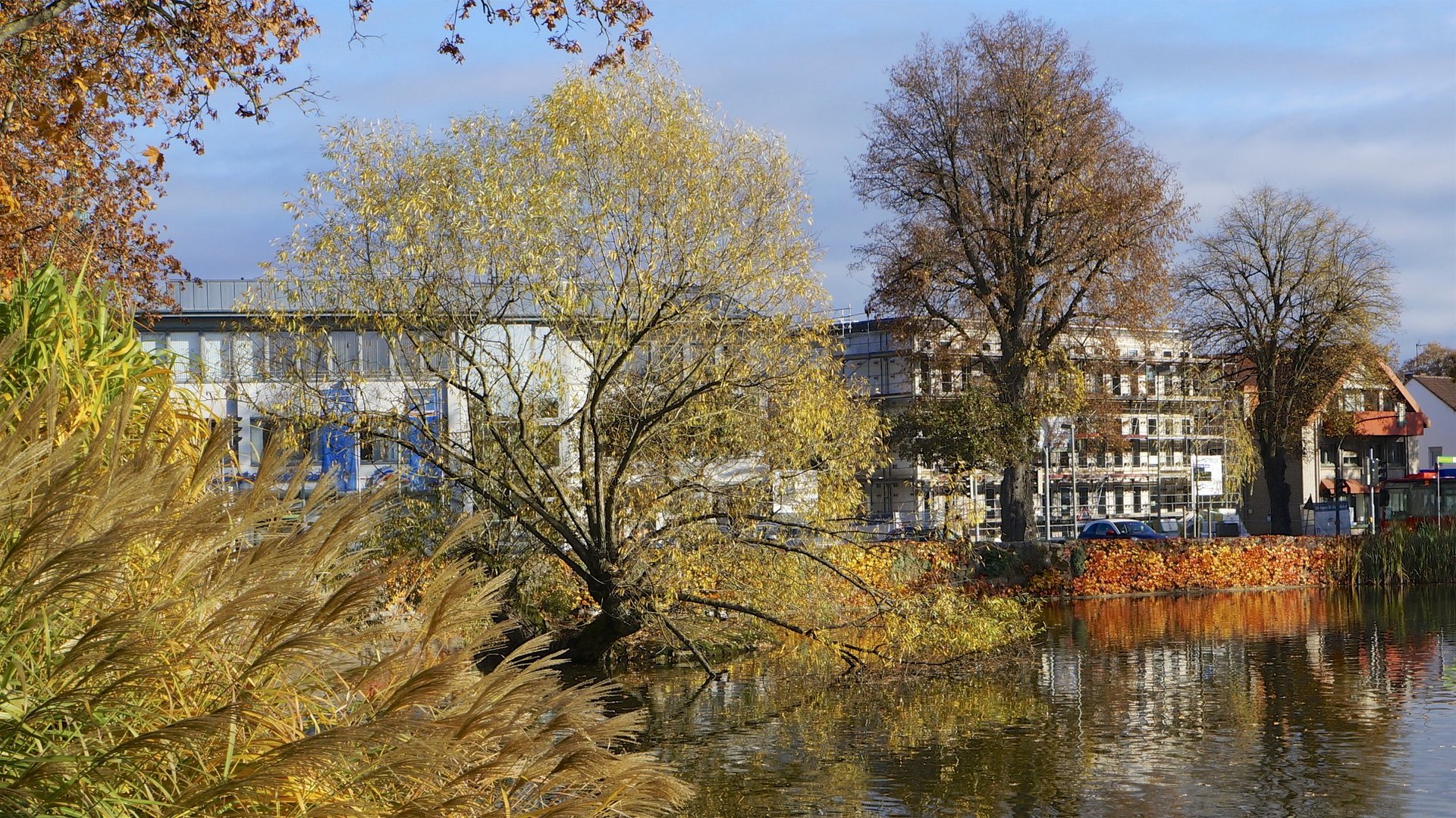 Brakel im Herbst