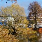 Brakel im Herbst