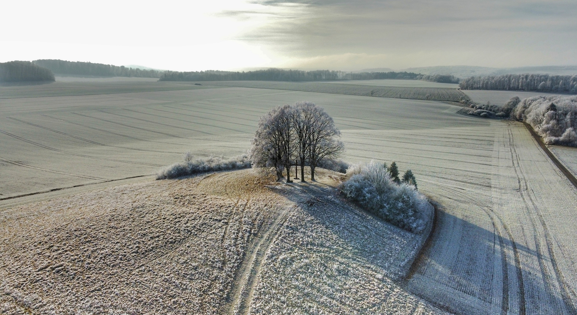 Brakel im Winter