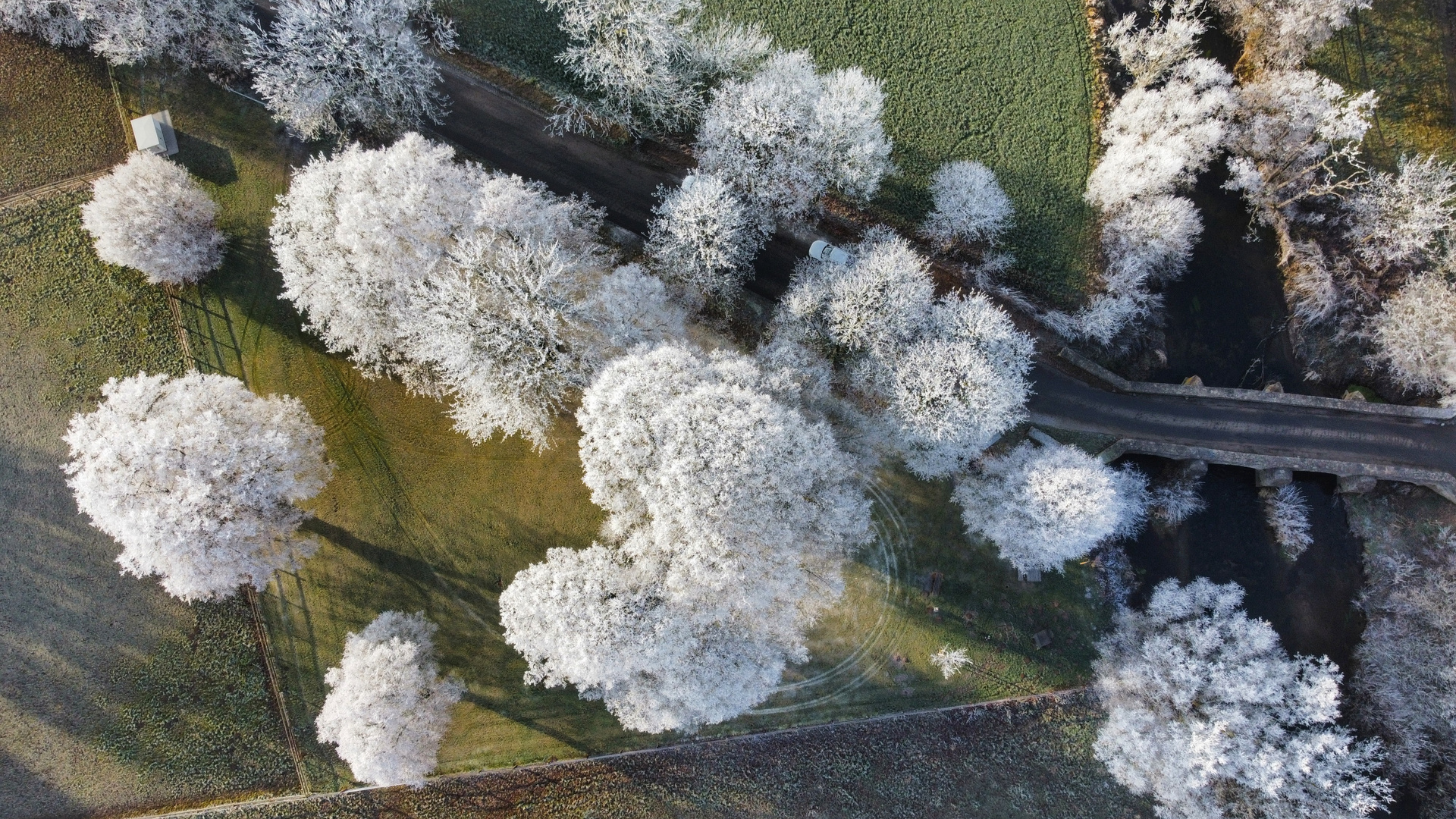 Brakel im Winter