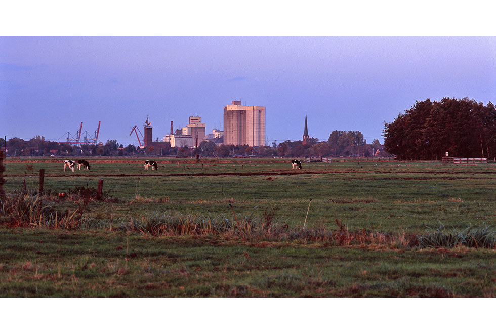 Braker Skyline