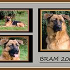 BRAM 2