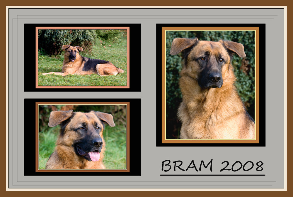 BRAM 2