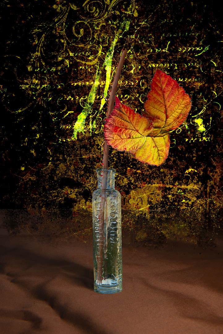 Bramble in glass bottle