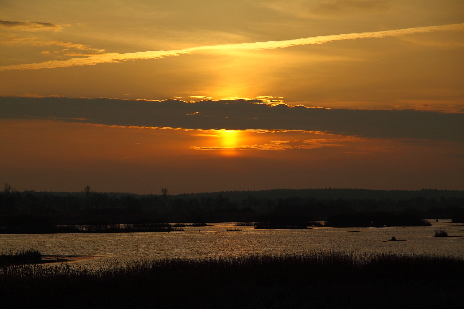 Brameler Polder