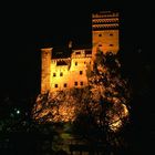 bran castle in the night