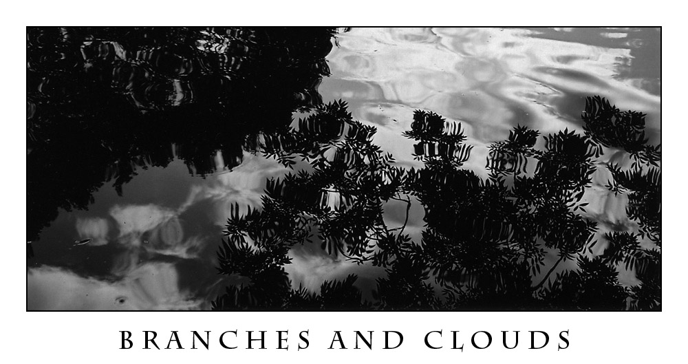 Branches and Clouds