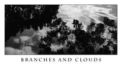 Branches and Clouds