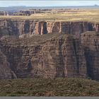 Branches of the Canyon