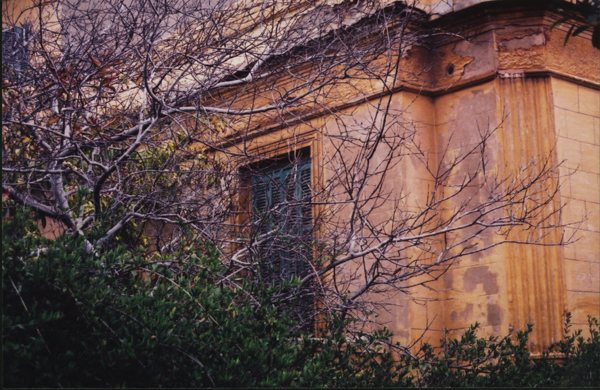 branches with rocks