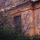 branches with rocks