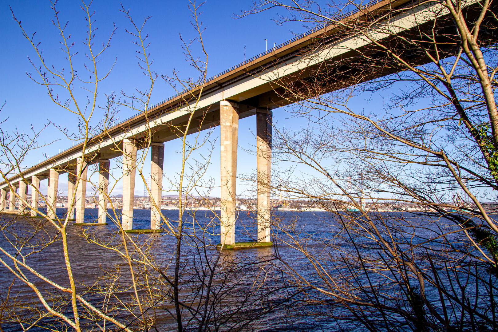 Branching Bridge