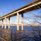 Branching Bridge