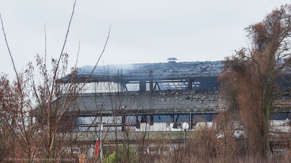 Brand einer Lagerhalle in Berlin Wittenau IV