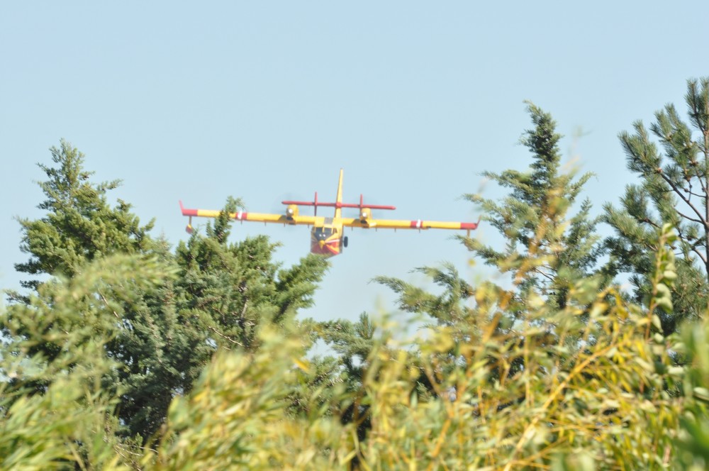 Brandbekämpung im Tiefflug