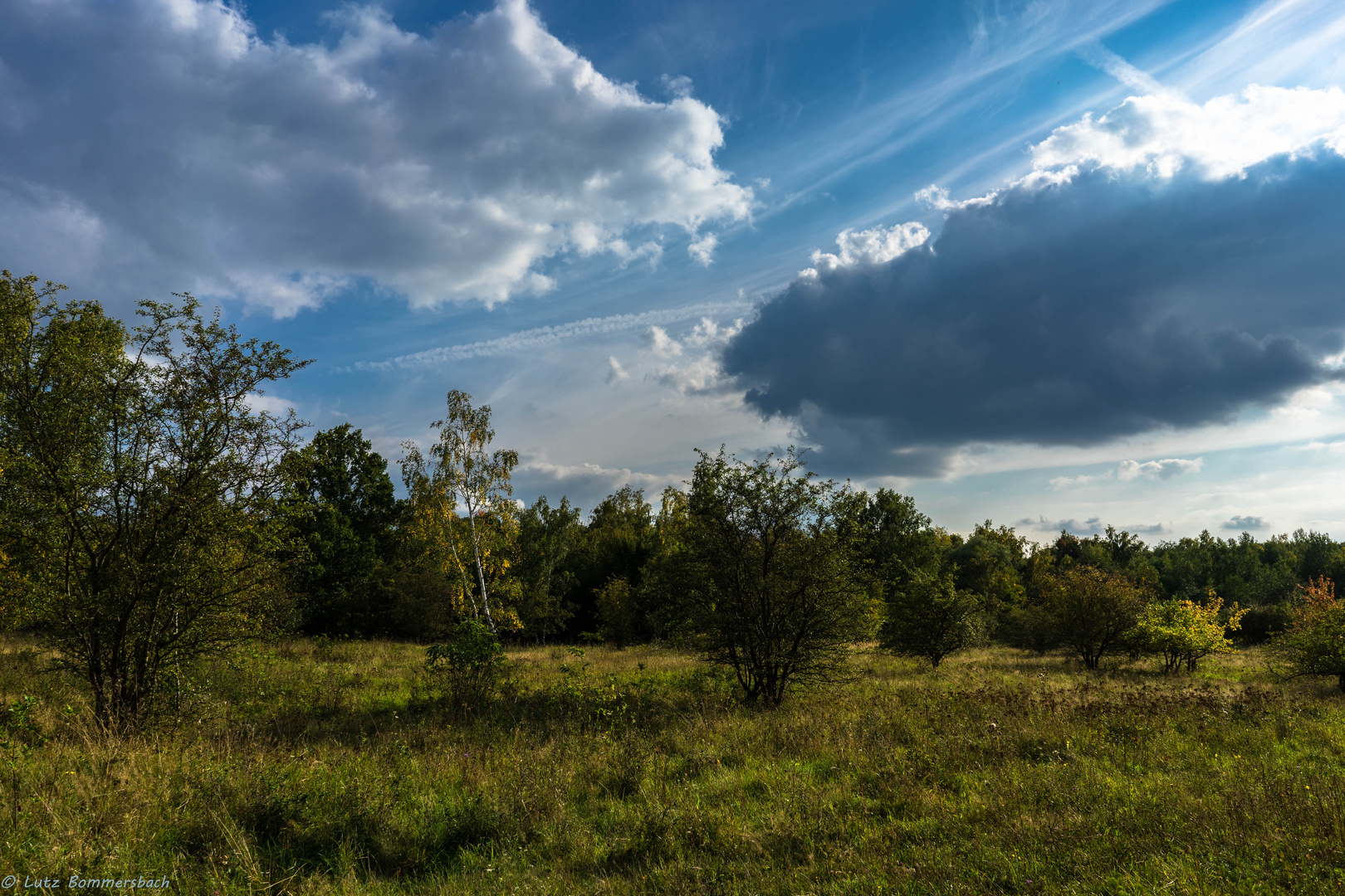 Brandberge Buschlandschaft