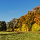 BRANDENBURG. GOLDENER HERBST