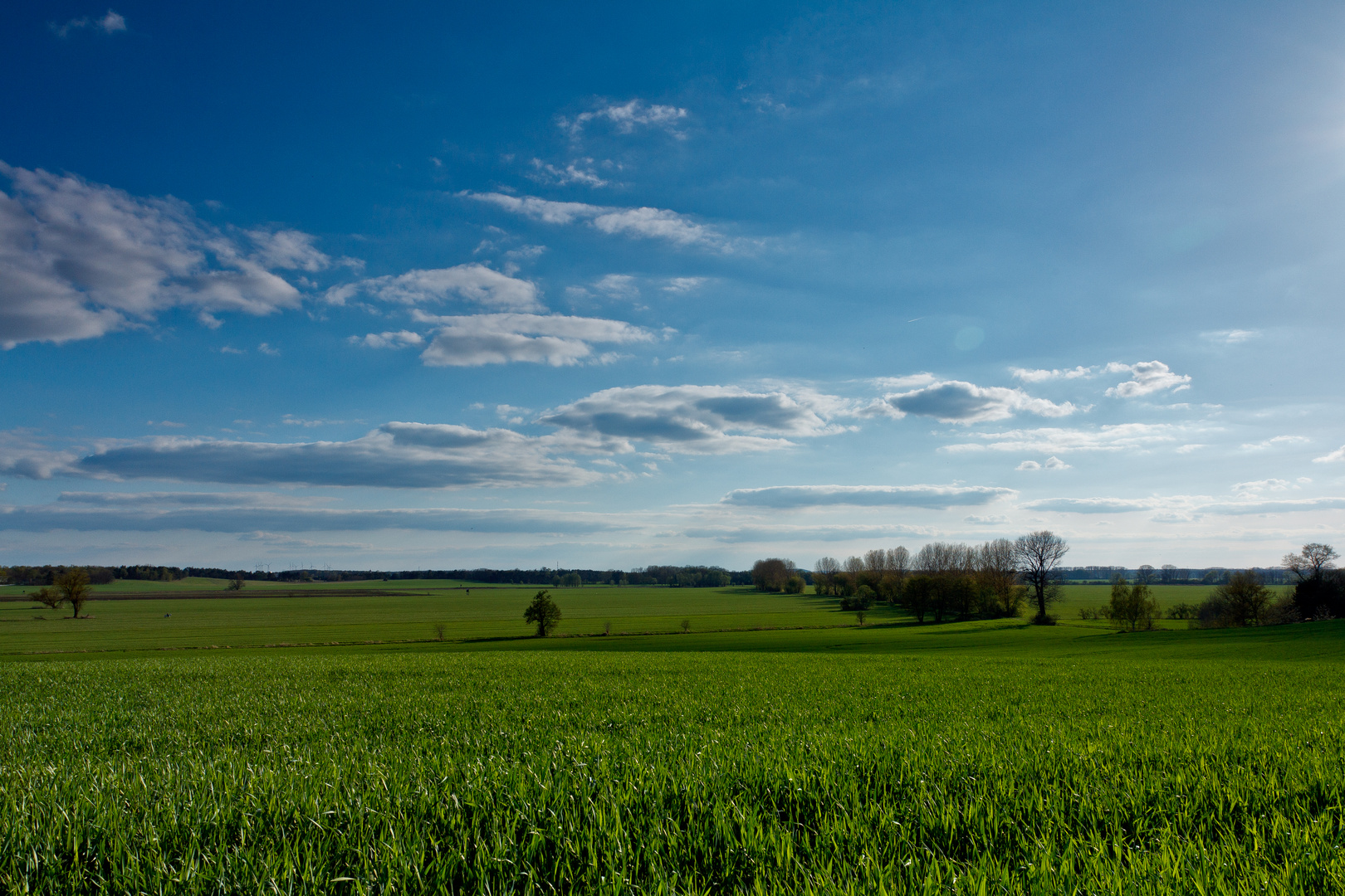 Brandenburg im Frühling