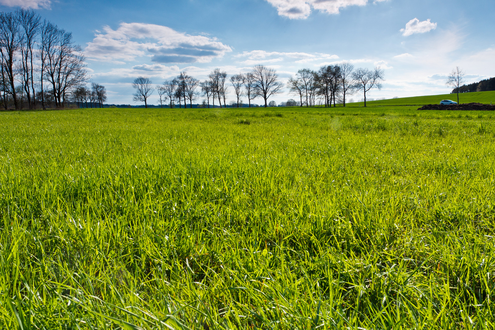 Brandenburg im Frühling Part 2