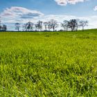 Brandenburg im Frühling Part 2