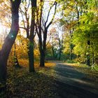 Brandenburg im Herbst