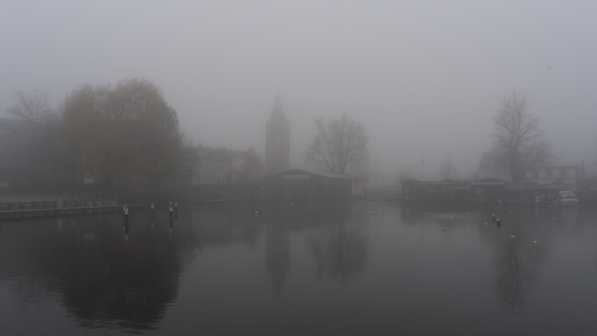 Brandenburg im Nebel