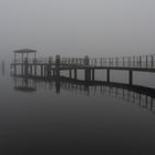 Brandenburg im Nebel