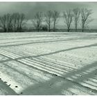 Brandenburg im Schnee