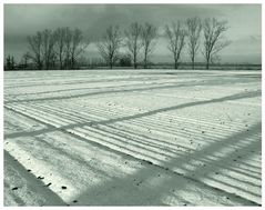 Brandenburg im Schnee