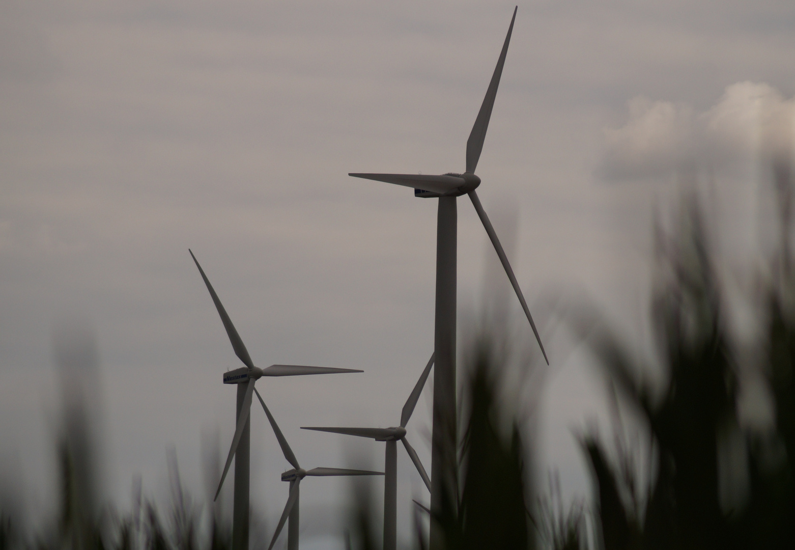 Brandenburg- Neue Energien