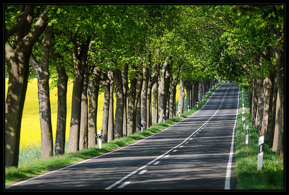 Brandenburg "Street"