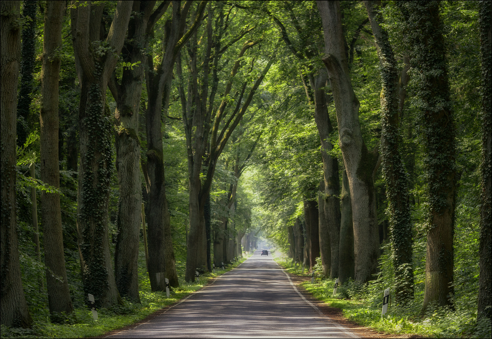 brandenburger Allee ...