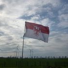 Brandenburger Flagge im Winde