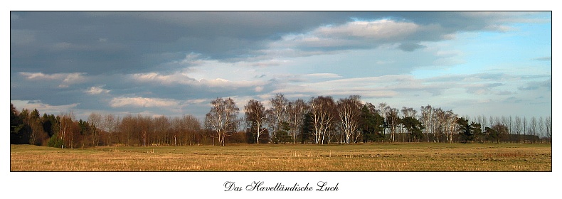 Brandenburger Impressionen - 1 -