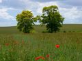 Brandenburger Land von Jana Liebmann 