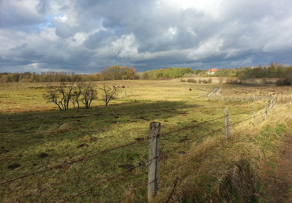 Brandenburger Land im November