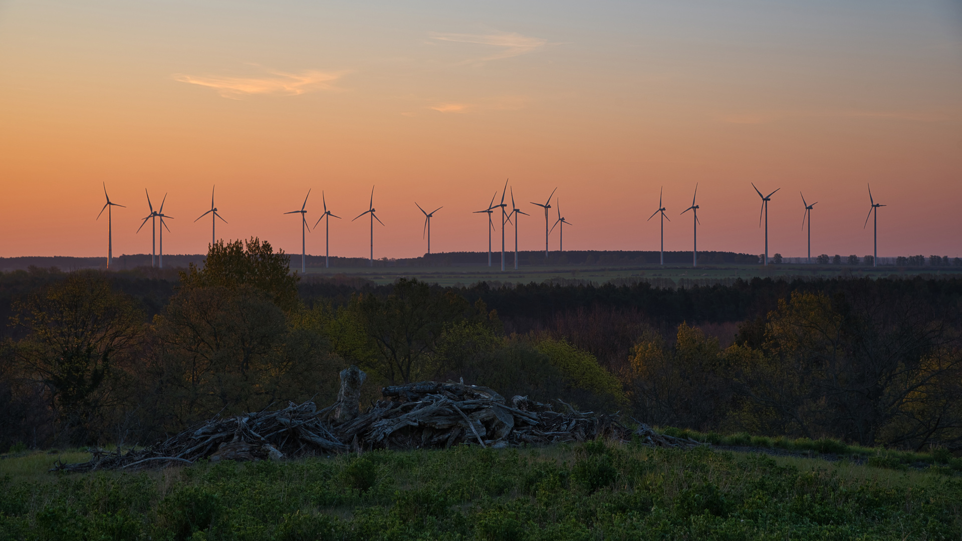 Brandenburger Landschaft