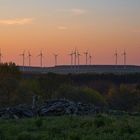 Brandenburger Landschaft