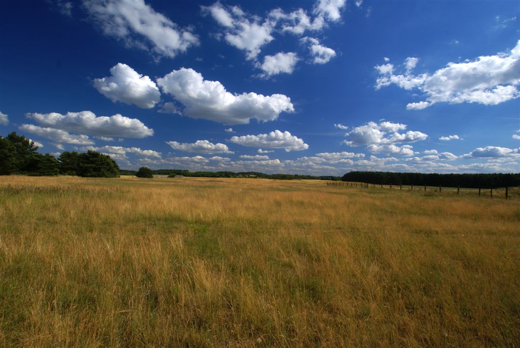 Brandenburger Landschaft Foto & Bild | landschaft, kulturlandschaften
