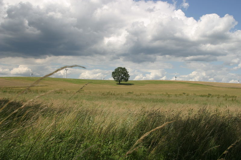 Brandenburger Landschaft in Stimmung