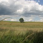 Brandenburger Landschaft in Stimmung